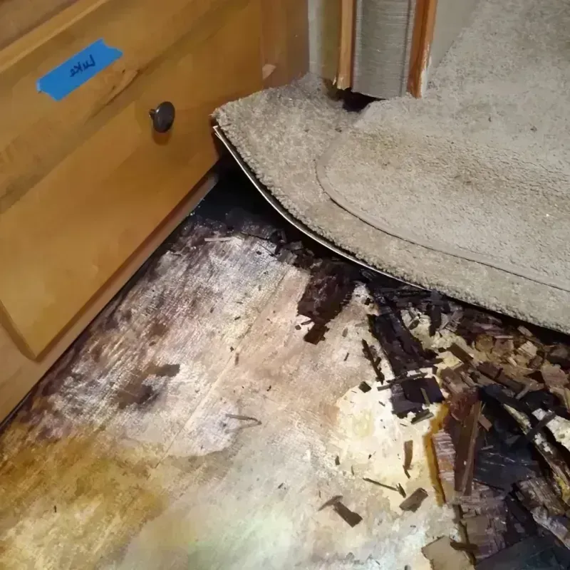 Wood Floor Water Damage in Waverly, IA